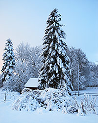 En snörik vinter i Ubbarp